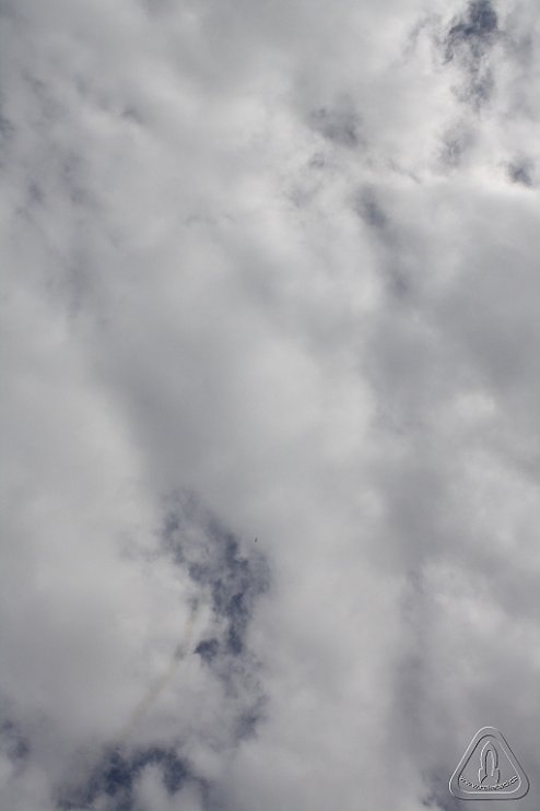 2013 Svojek Mirek Topinka